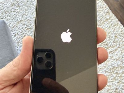 Apple iPhone 13 Pro Max (Silver) -Excellent Condition