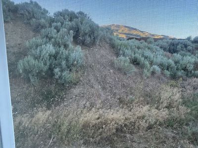 Free fill dirt