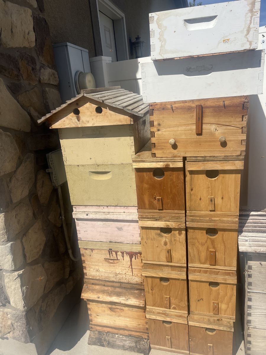 Beehive boxes without trays