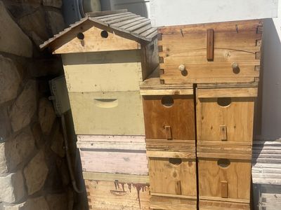 Beehive boxes without trays
