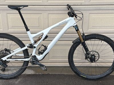 Stumpjumper EVO Expert S6