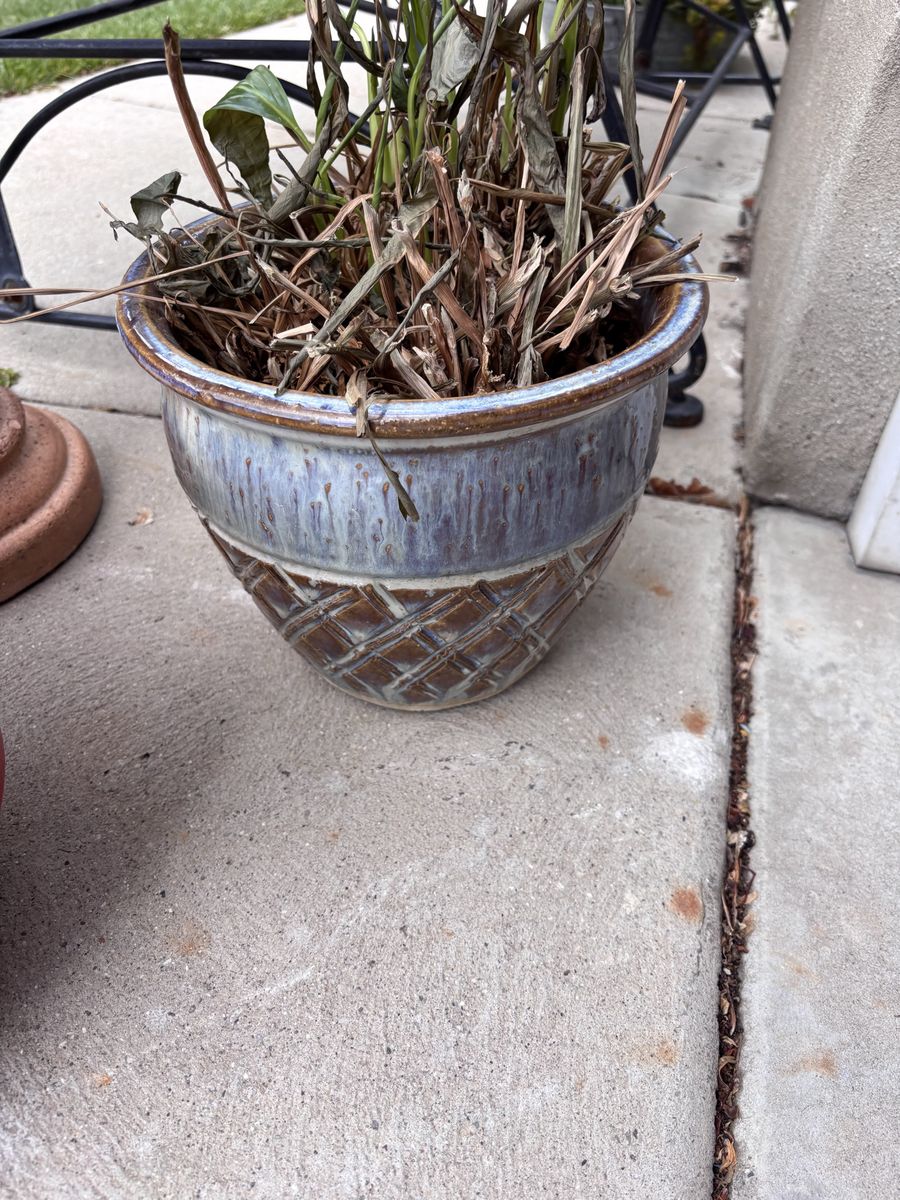 Ceramic planter pot included