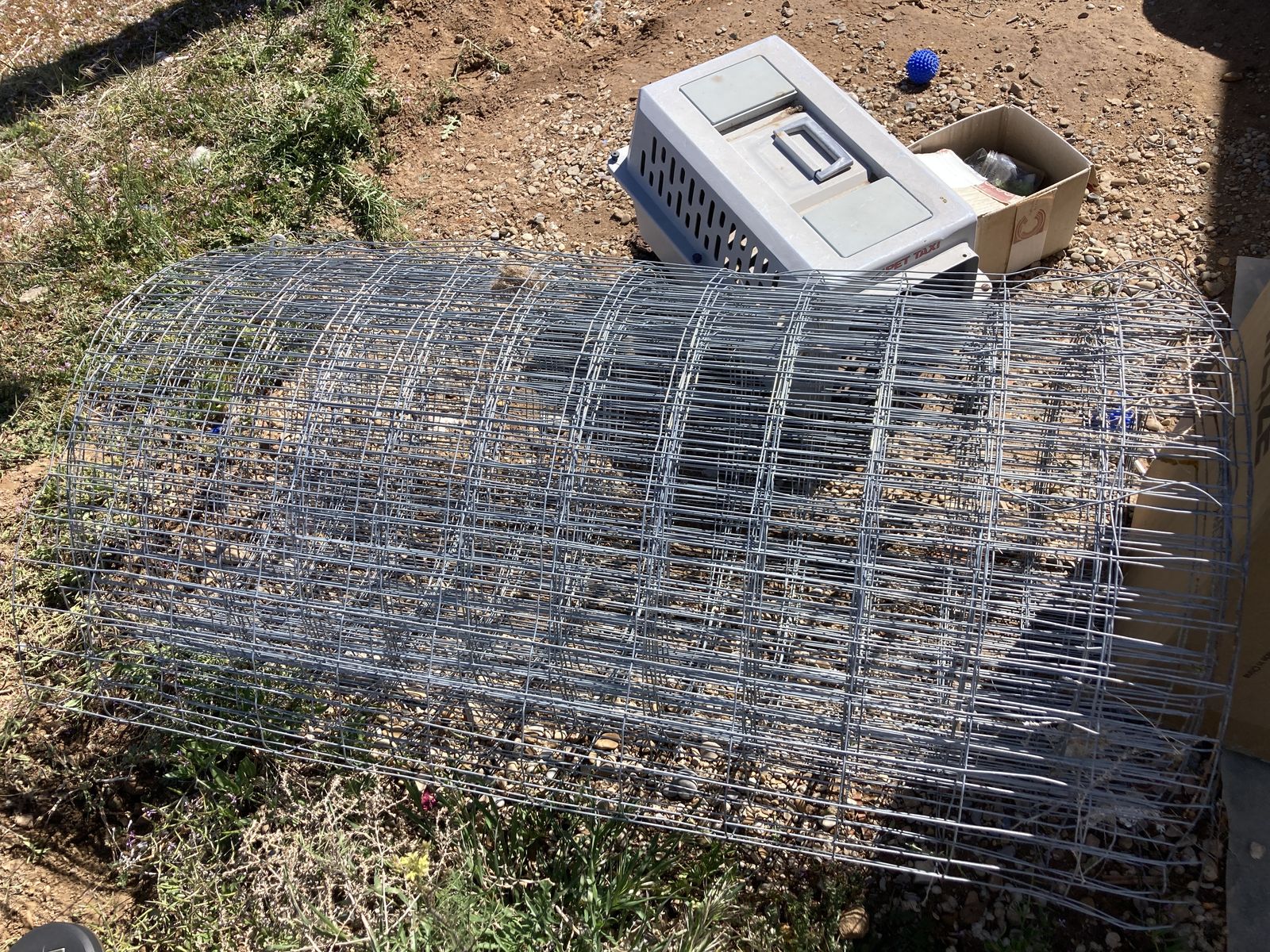 T-posts and Sheep fencing