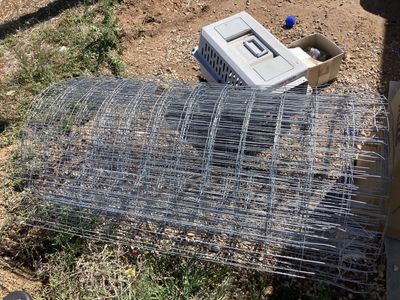 T-posts and Sheep fencing