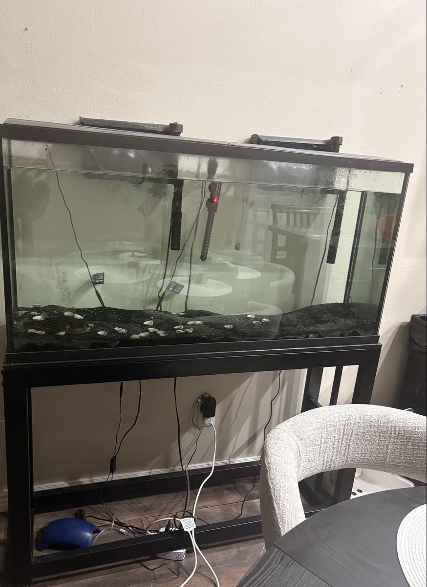 55 gallon tall with stand and fauhka fish if want