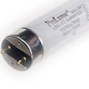 ProLume Eco-Shield F28T8/850/ECO fluorescent lamp