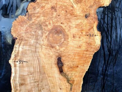 66" long x 30"36" wide 2.5 thick Stunning Highly Figured Maple slab