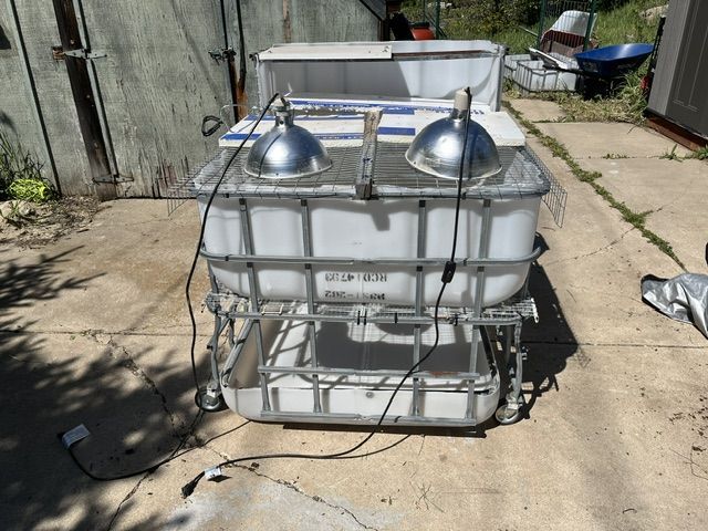 Duck, Chicken, Quail Brooder with heat lamps and poop tray
