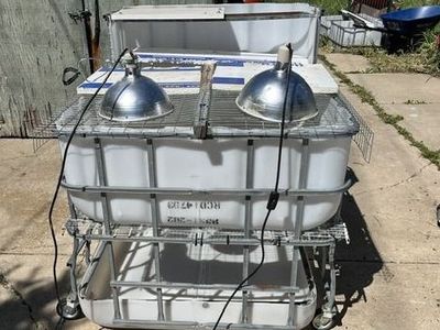 Duck, Chicken, Quail Brooder with heat lamps and poop tray