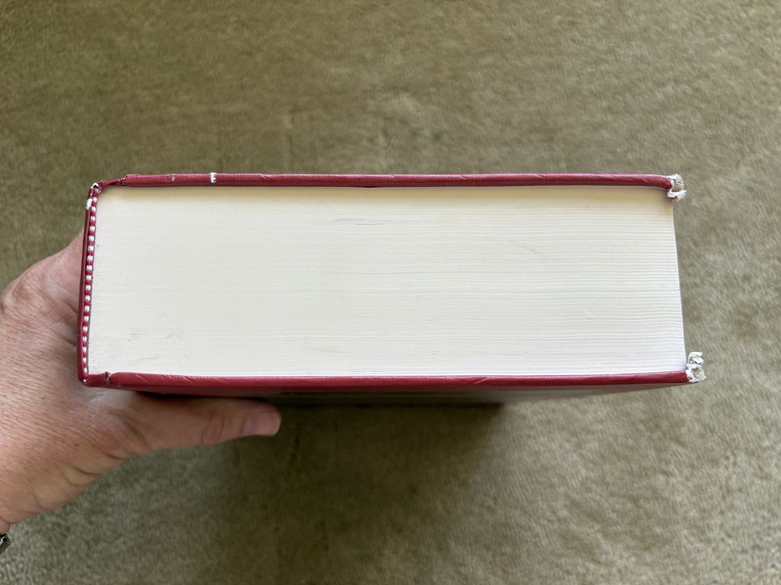 Main image 5