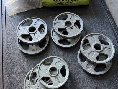 Weider Weights Plates (10 & 5 Lbs)