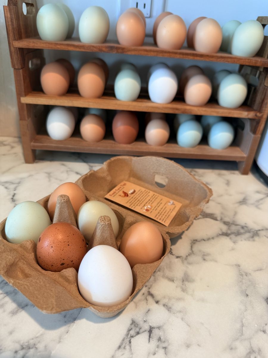 Fresh eggs