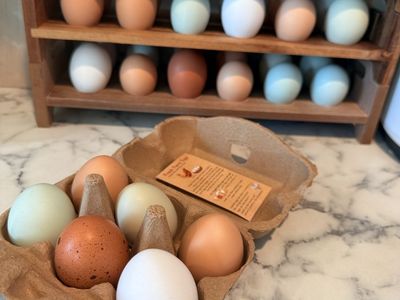 Fresh eggs