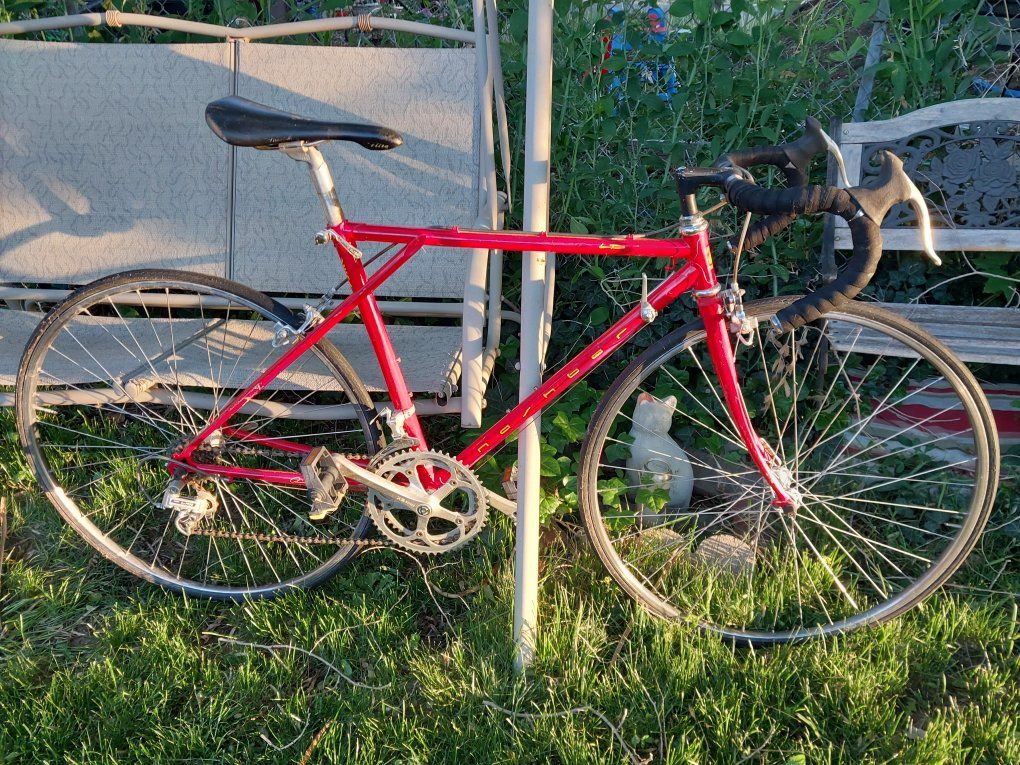 Nashbar Road LP Japan Bicycle Vintage Suntour Sakae Components Road Bike City Street 50cm