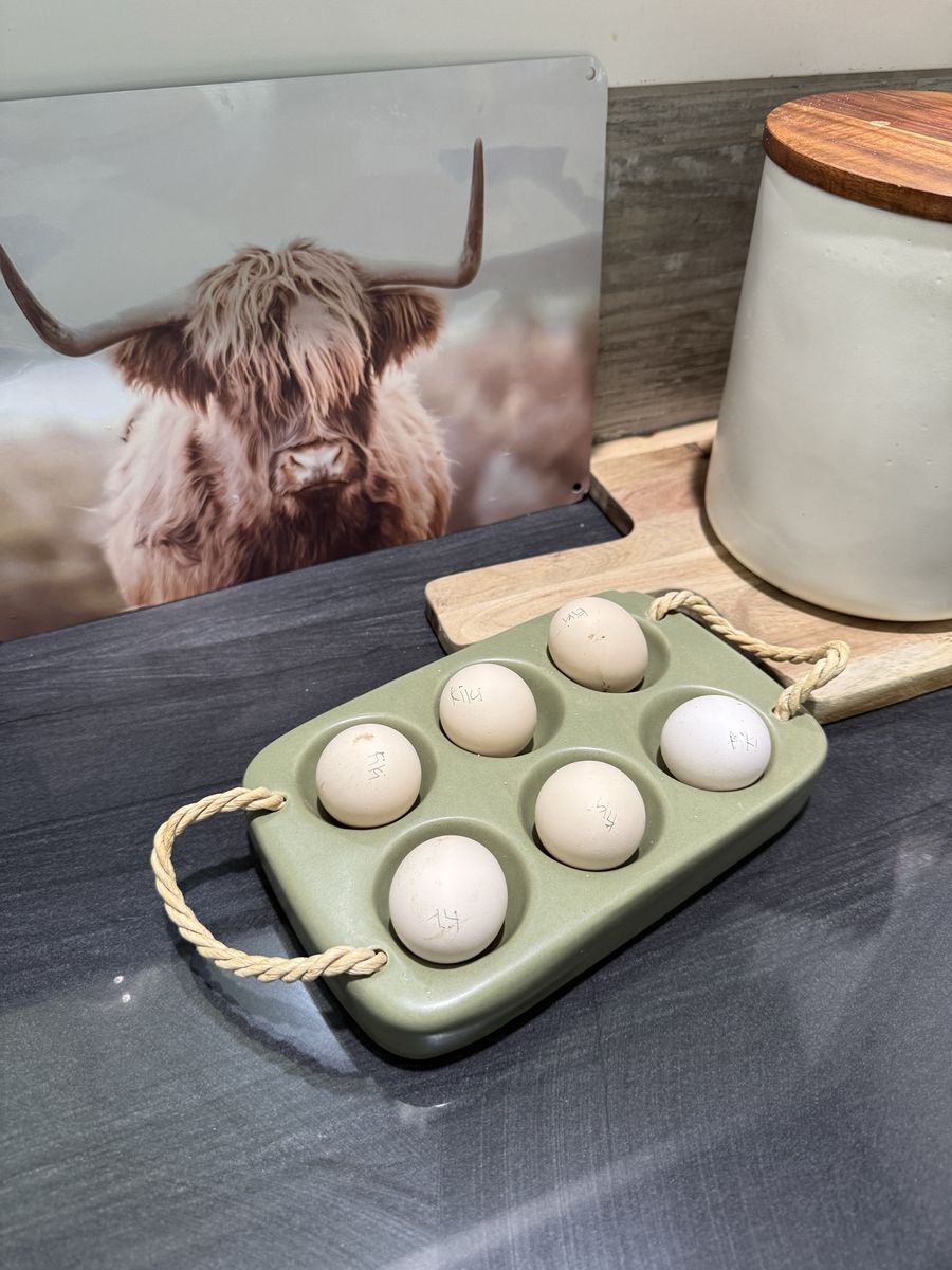 Kikiriki hatchin eggs