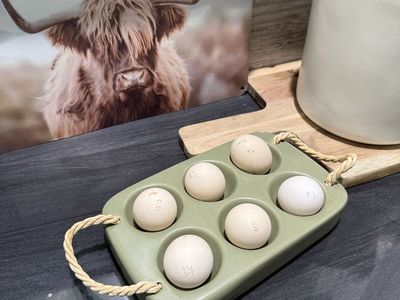 Kikiriki hatchin eggs