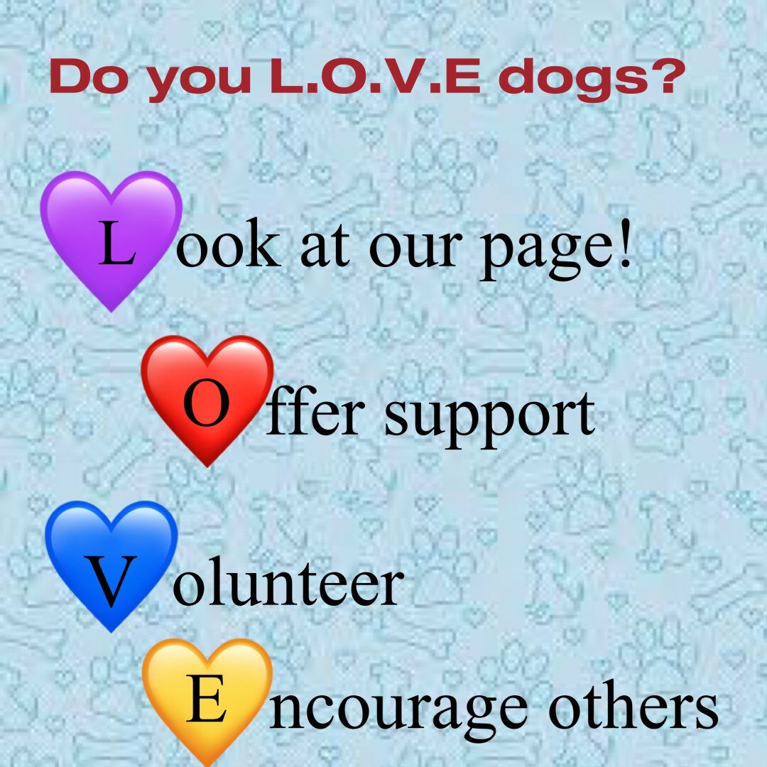 Animal Response Volunteers