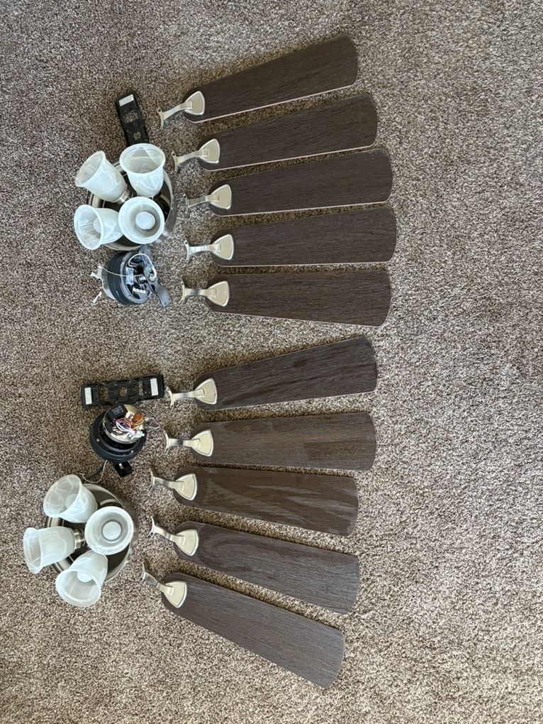 Ceiling Fans With Lights
