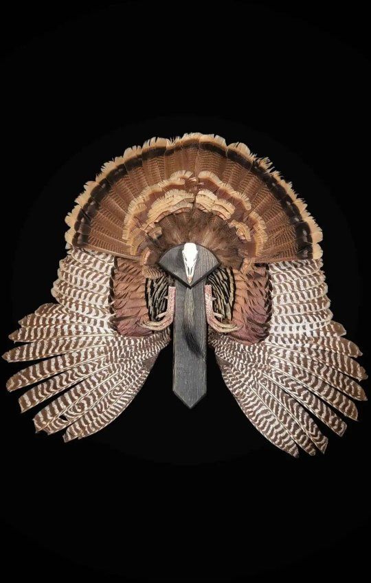 Turkey Fan Mounts