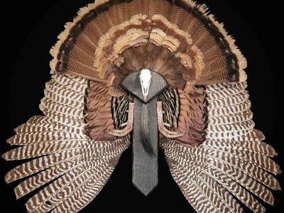 Turkey Fan Mounts
