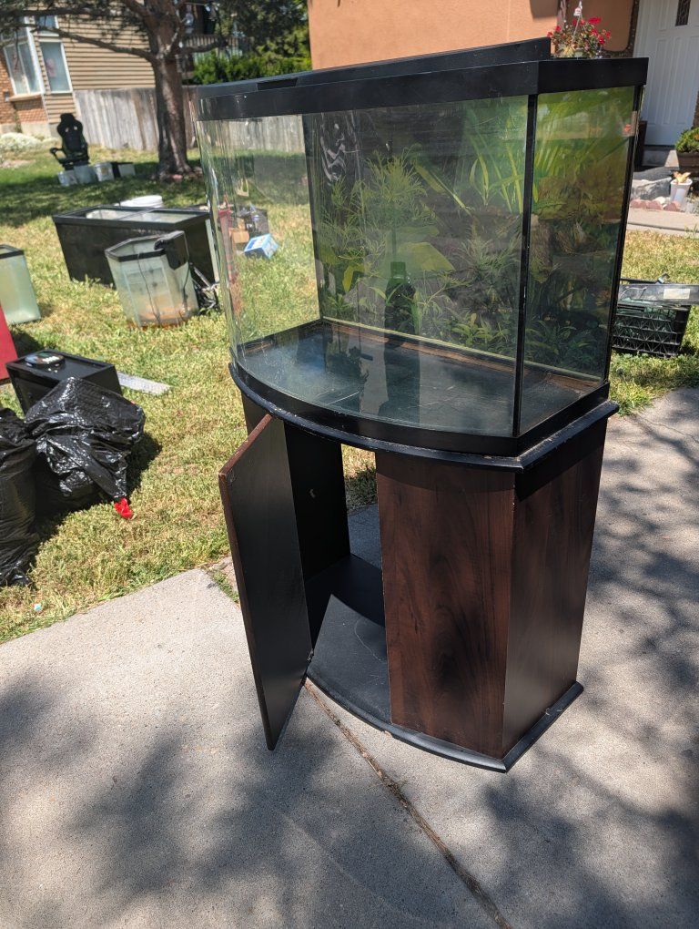 36 galloon fish tank with stand