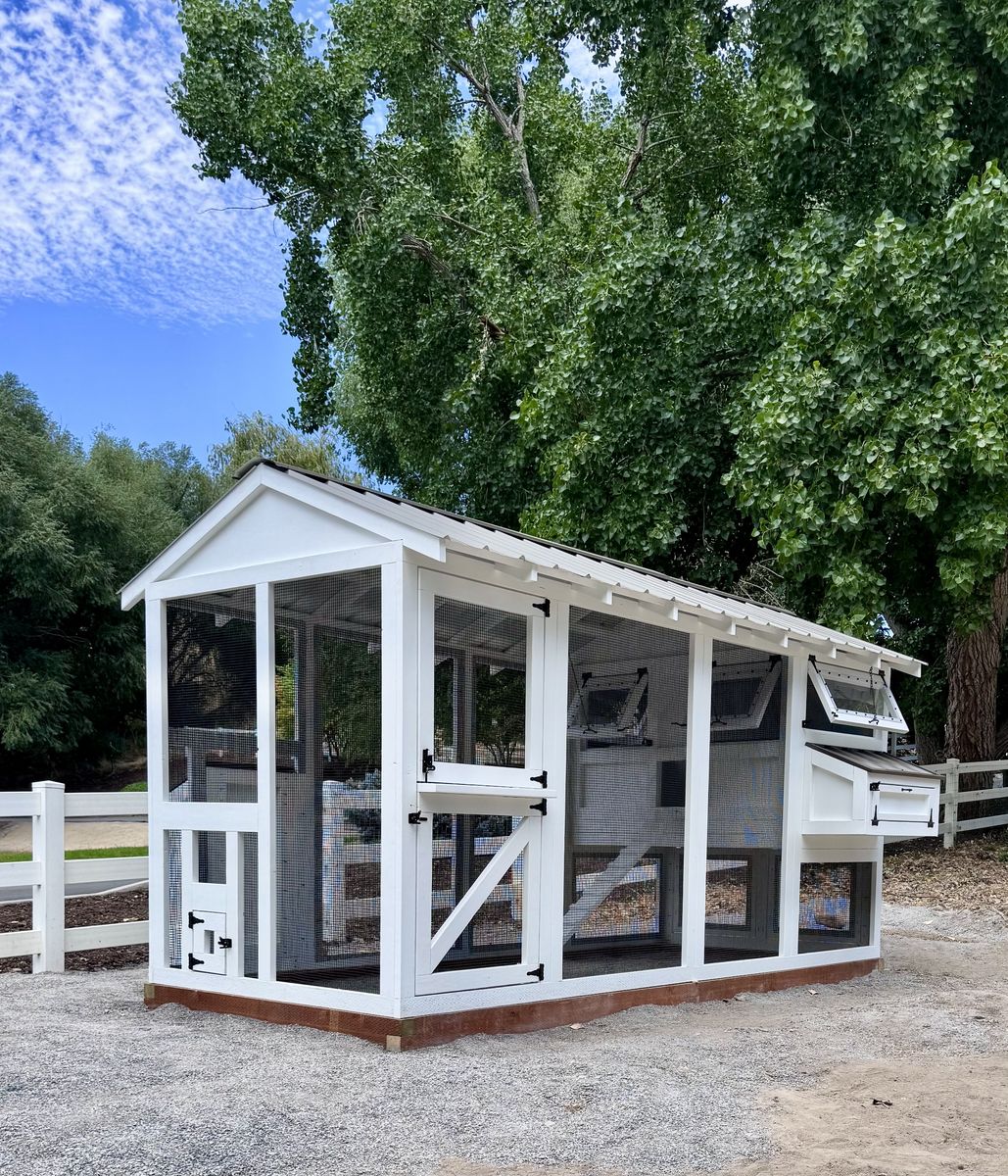 Custom, Handcrafted Chicken Coops