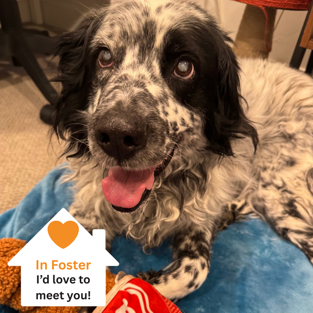 Hello my name is Ben