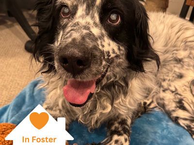 Hello my name is Ben