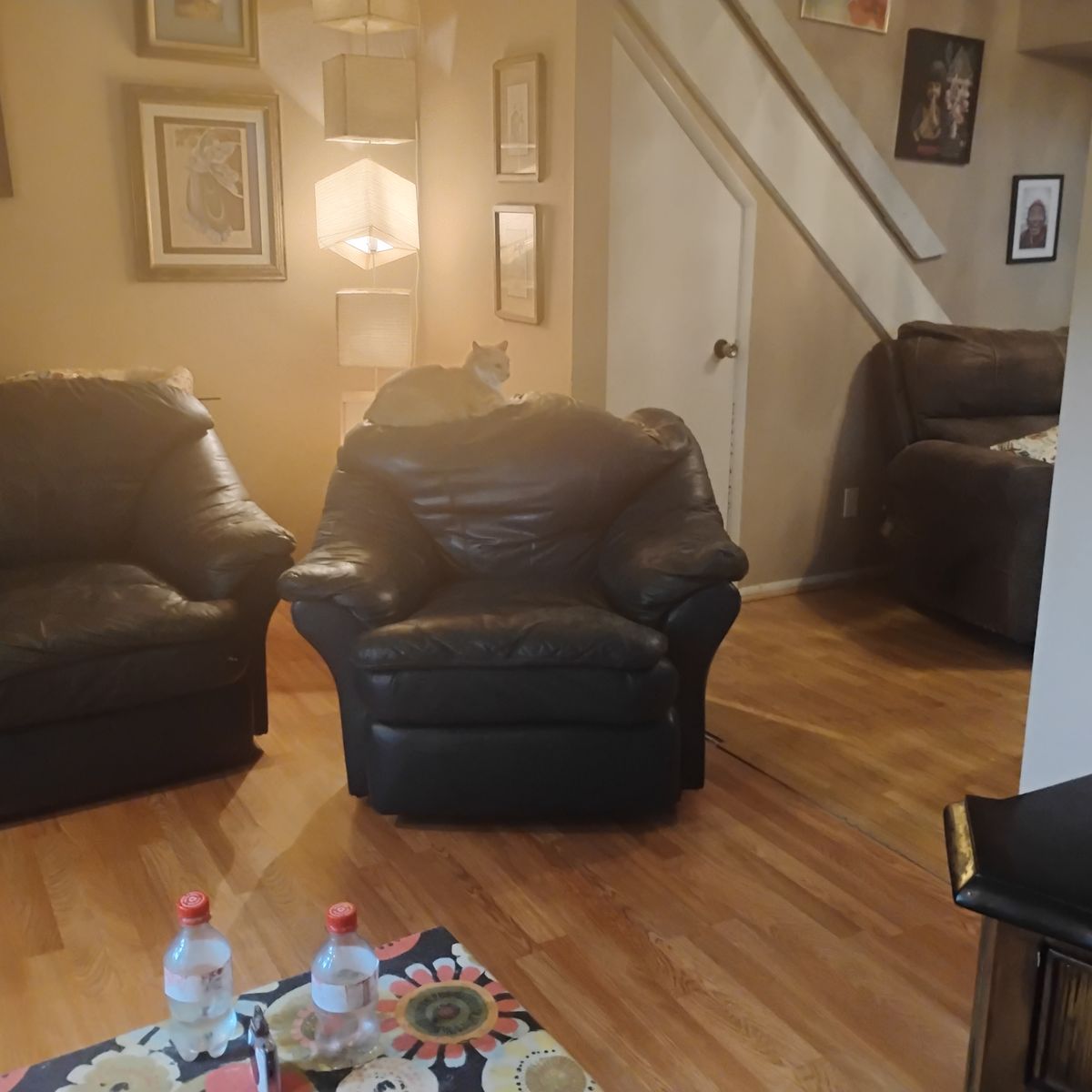 Main image 3