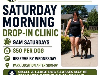 K9MindTraining is offering Saturday morning drop-in training clinics at 9am.
