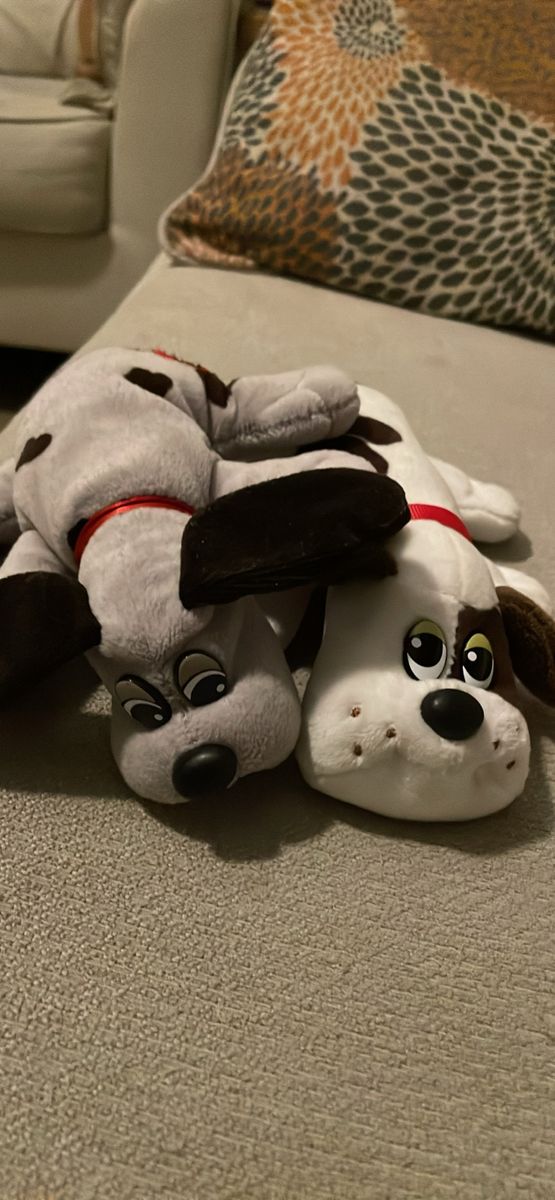 2 cute vintage pound puppies