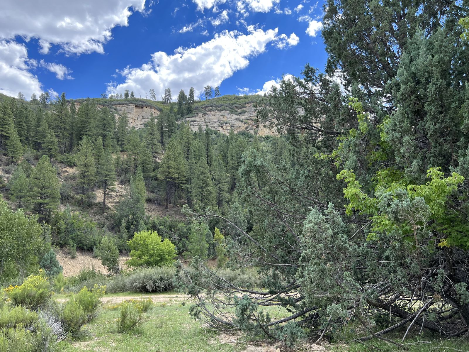 Main image 8