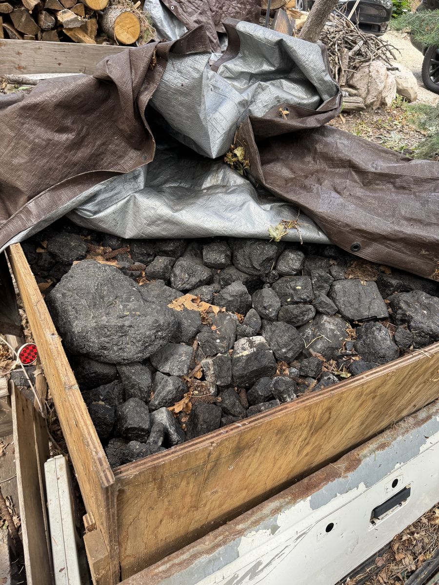 Coal
