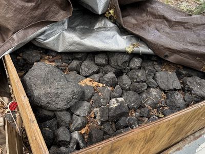 Coal