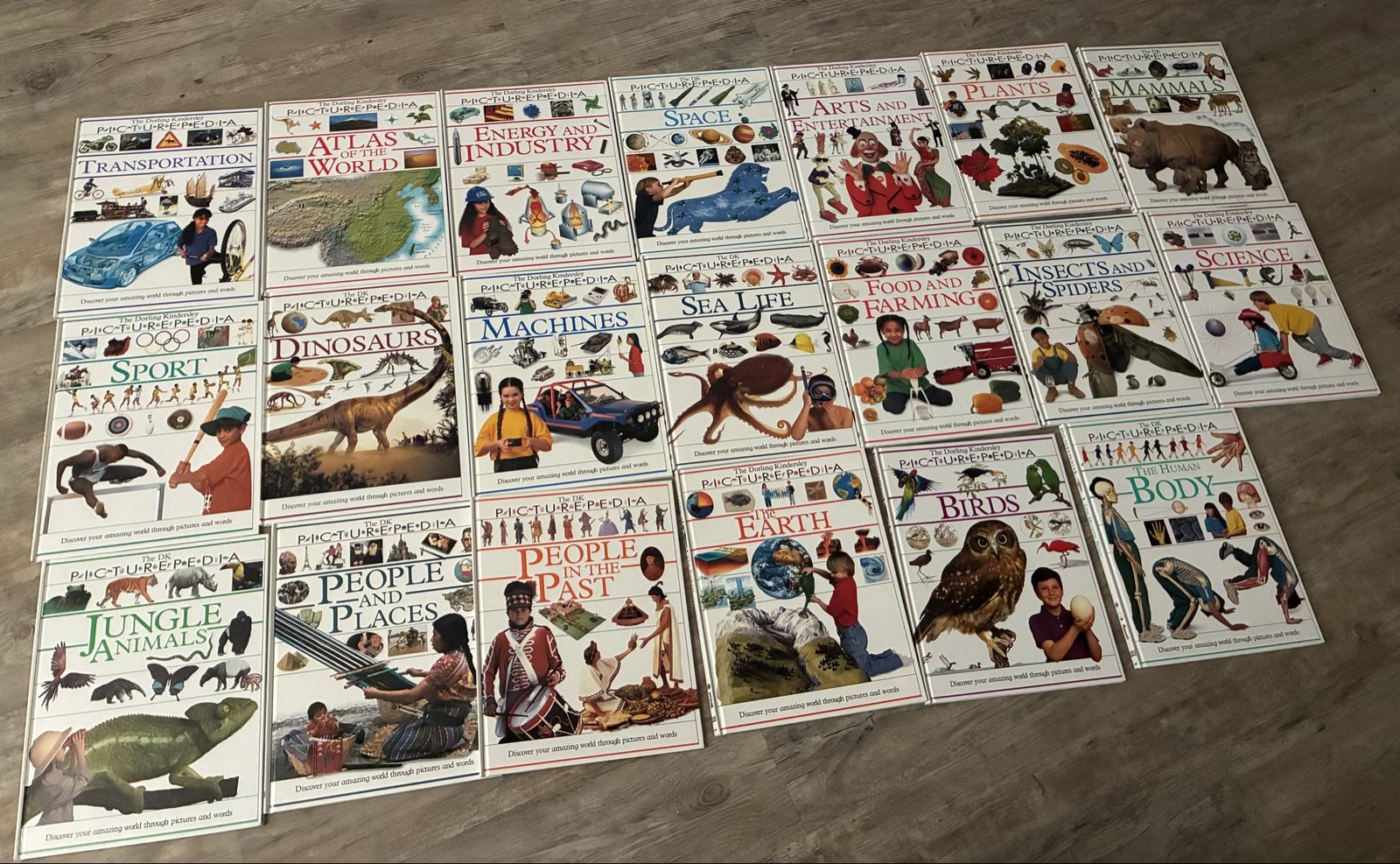 The Dorling Kindersley Picturepedia Book Set Lot of 20 Vintage Educational Hardcovers