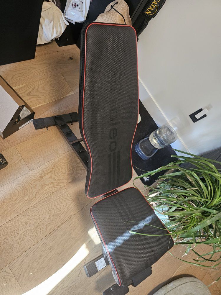Aleon Adjustable Weight Bench for Home Gym Workouts, Black/Red Trim