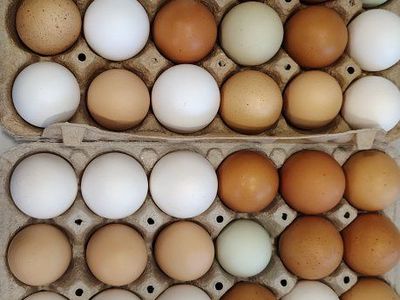 Eggs