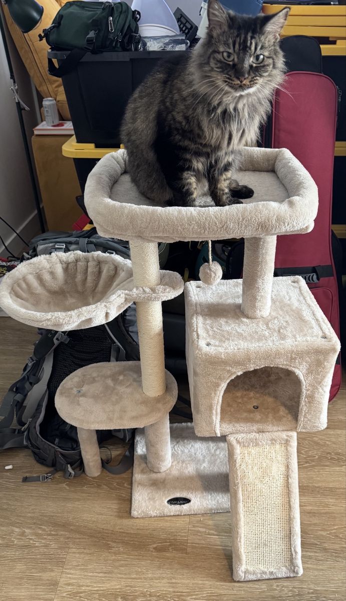 CAT TREE Indoor Cat Condo with Jump Platform