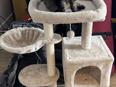CAT TREE Indoor Cat Condo with Jump Platform