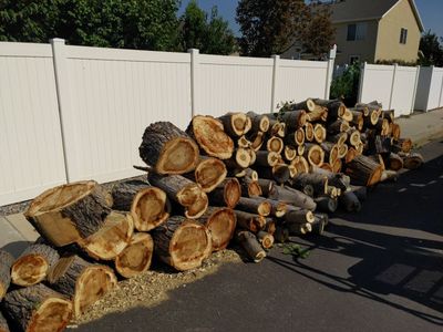 Firewood (cottonwood)
