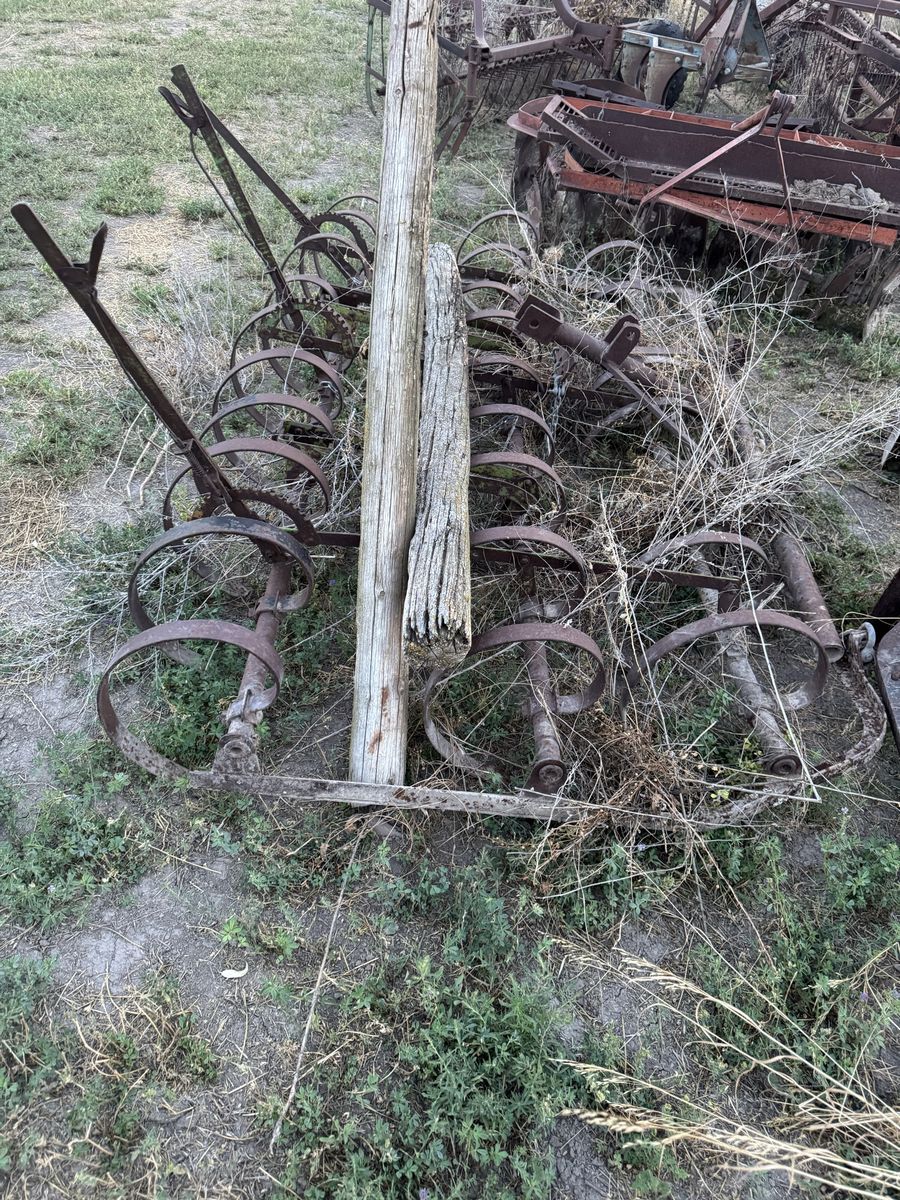 Old Spring tooth harrow