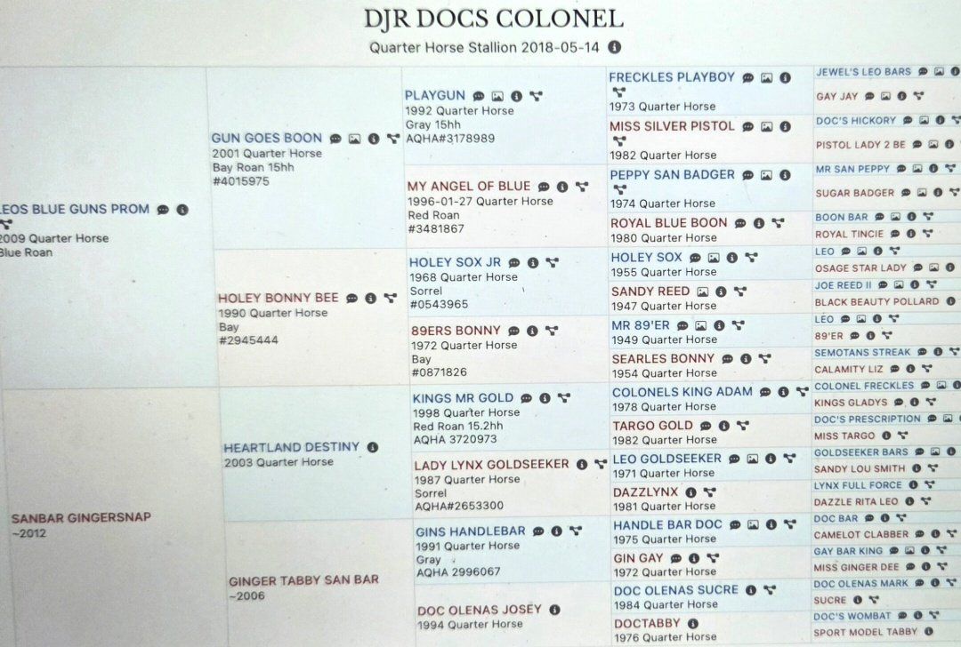 Main image 4
