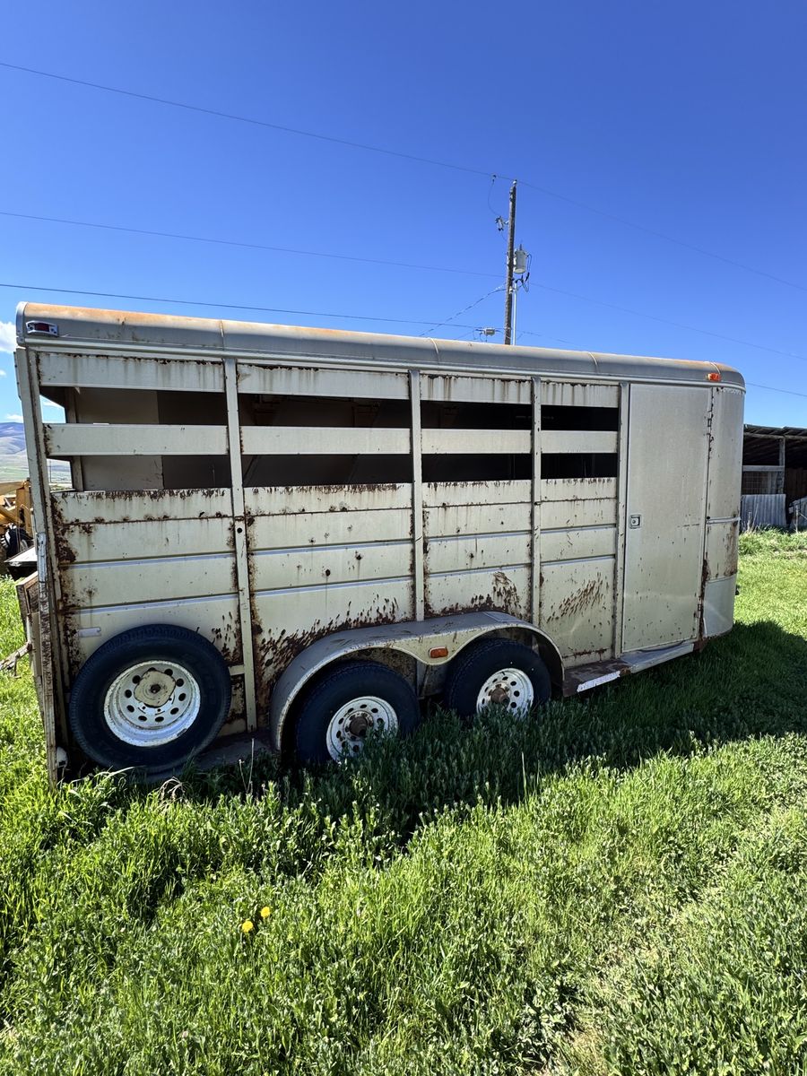 CM Horse Trailer