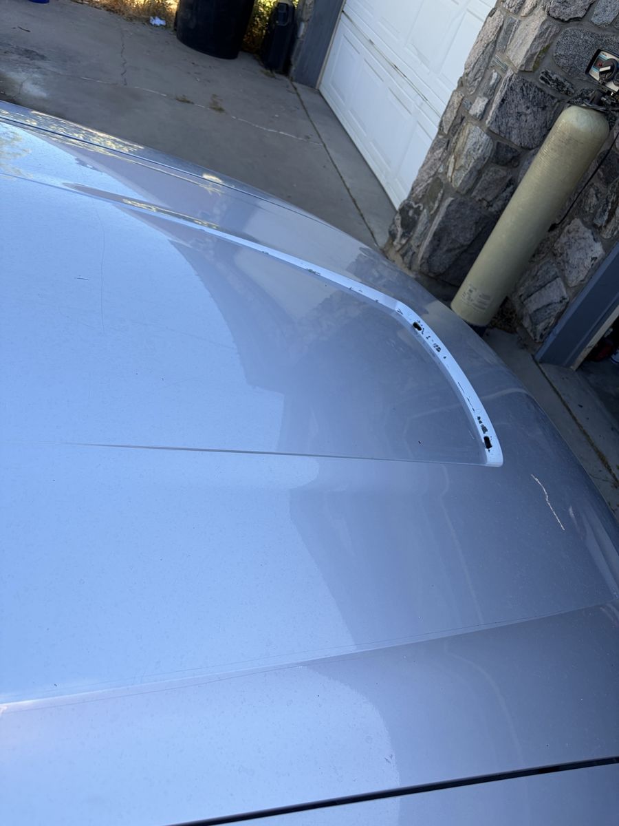 ISO 2004 Ford Mustang Hood Part / Scoop Trim