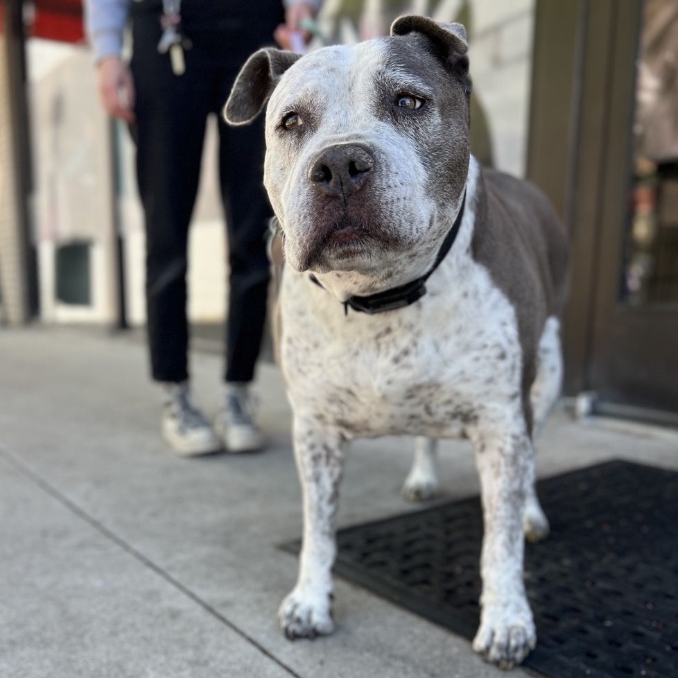 Hello my name is Sally