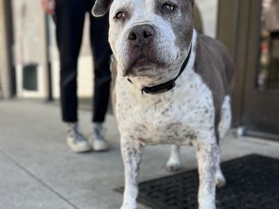 Hello my name is Sally