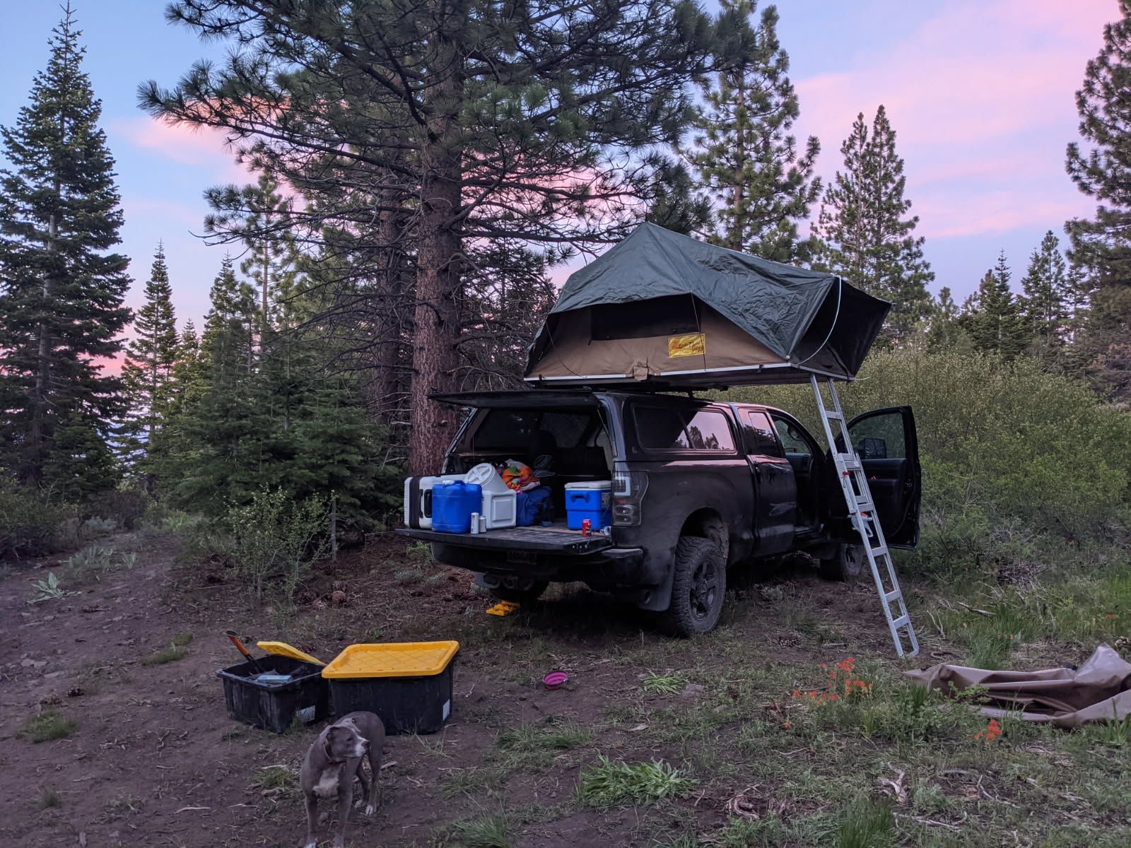 Eezi-Awn Jazz 1400 Roof Top Tent (RTT)