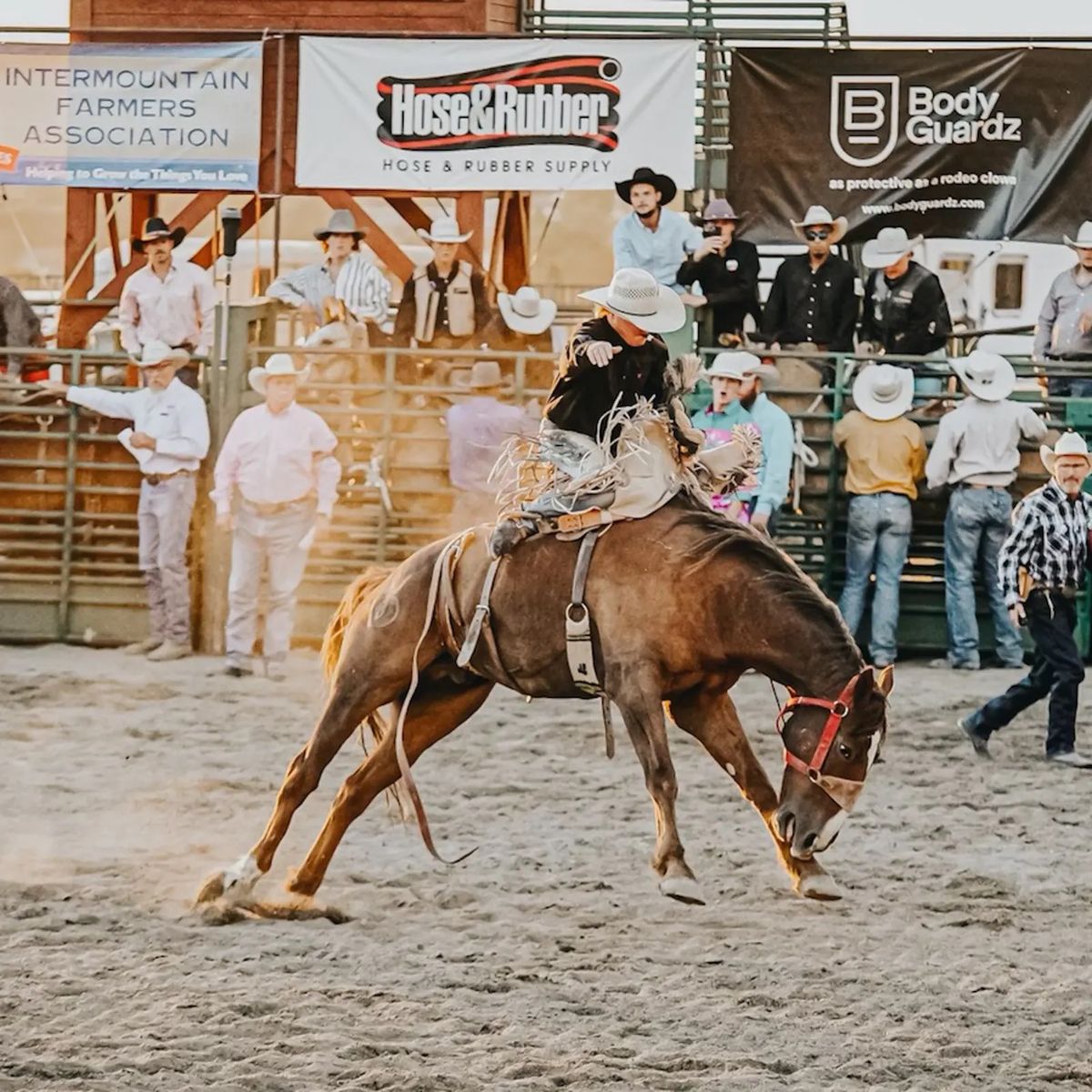 8 Tickets to Draper Days Rodeo - Sat, July 11th, 7:30 PM $50/ticket OBO