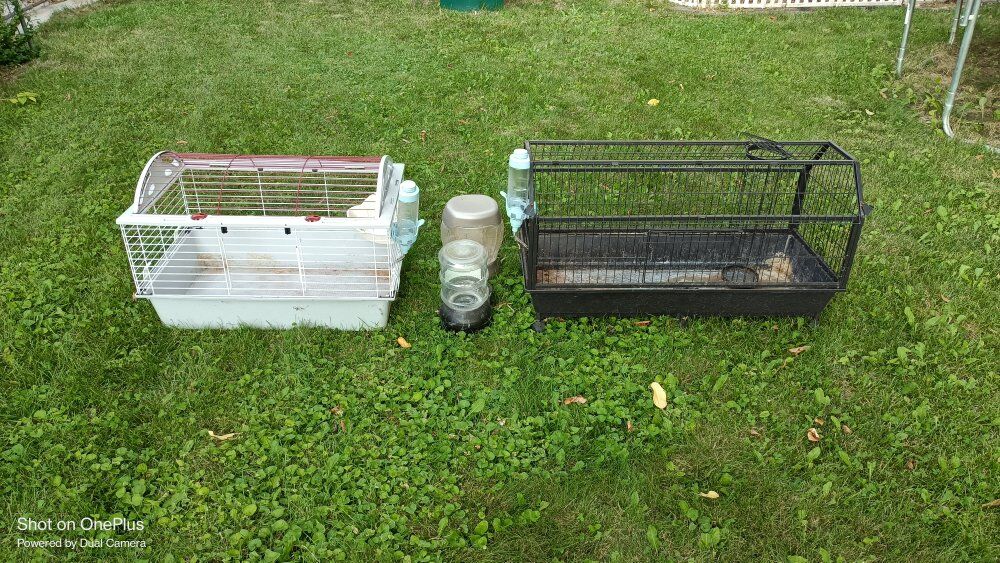 Bonnies cage for sale!