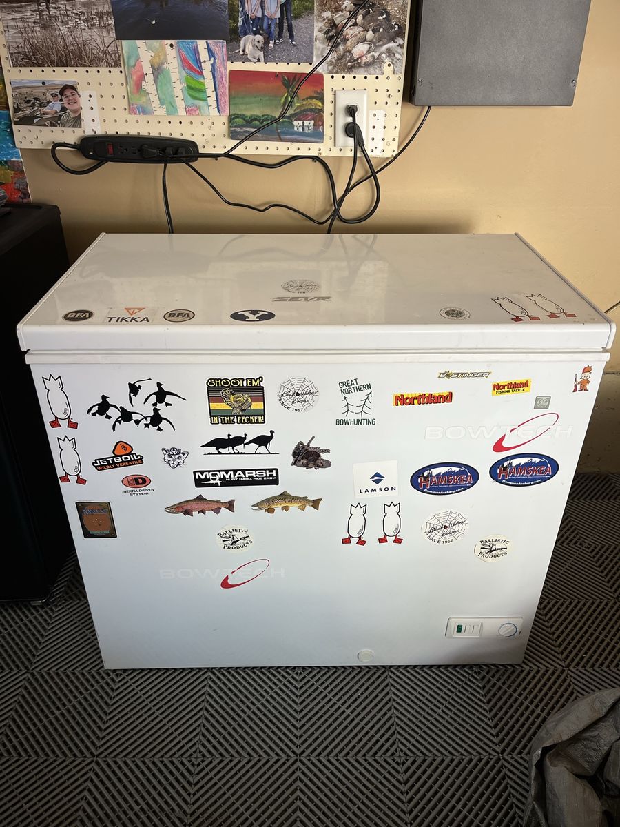 Chest freezer